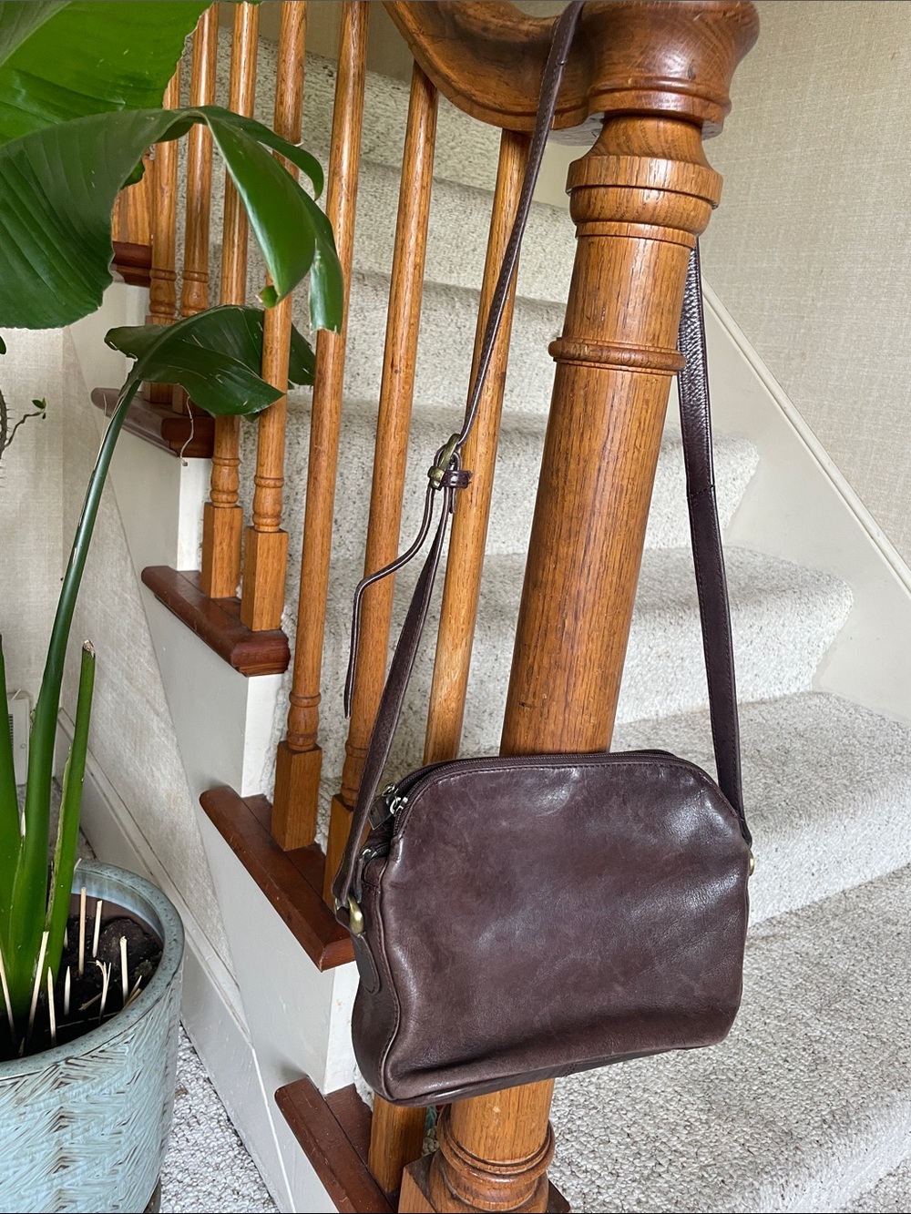 Wilson's Genuine Leather Classic Crossbody Bag in Dark Brown